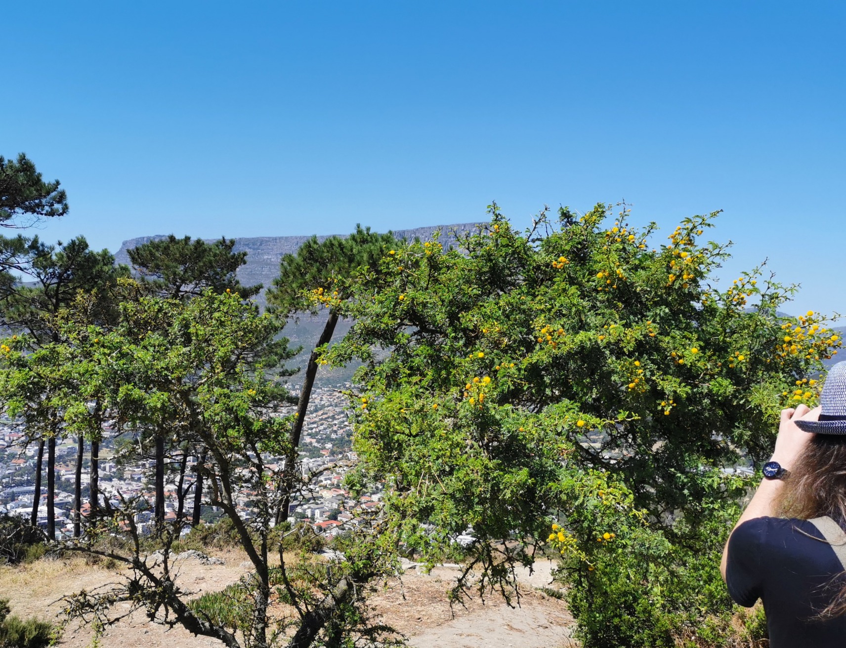 gallery/IMG_20200219_112704