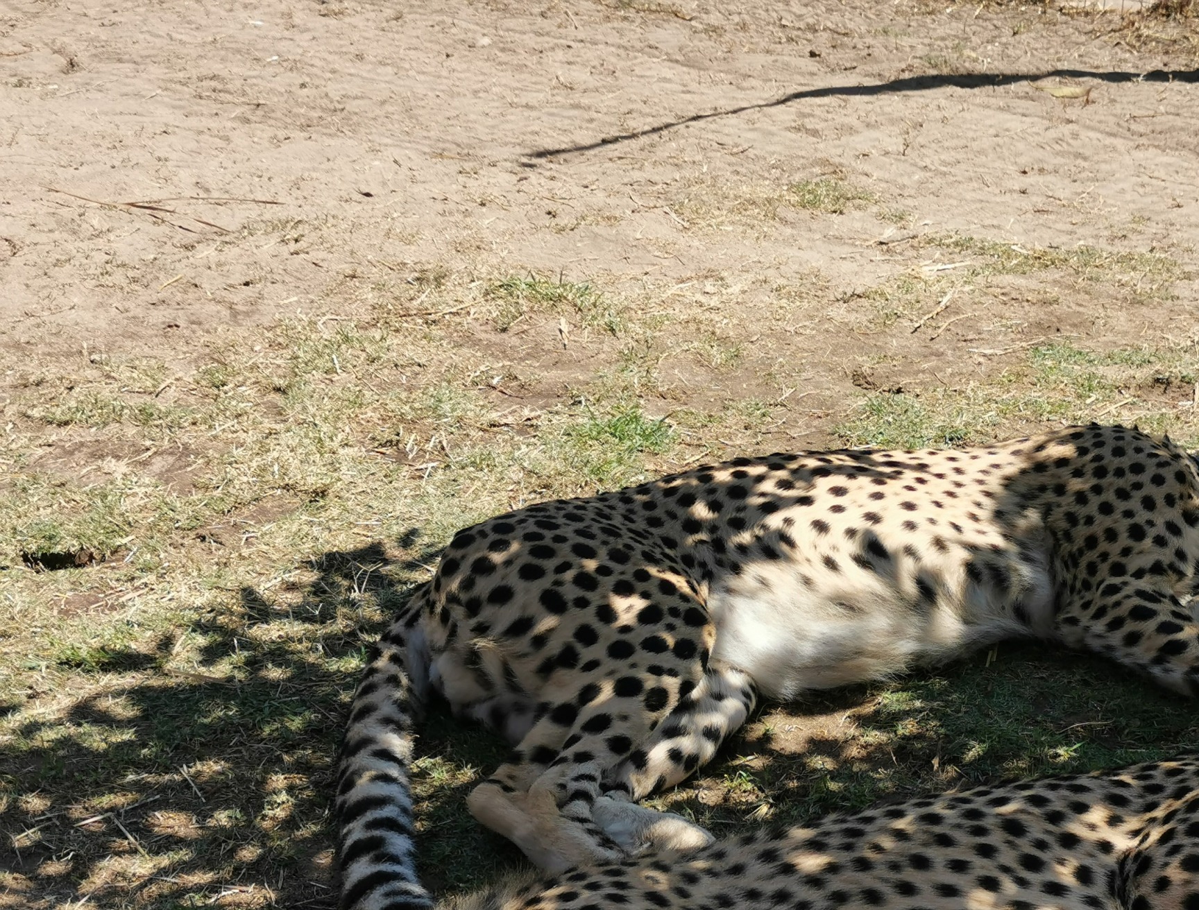 gallery/IMG_20200221_121429