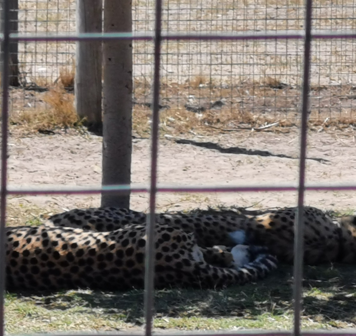 gallery/IMG_20200221_114016